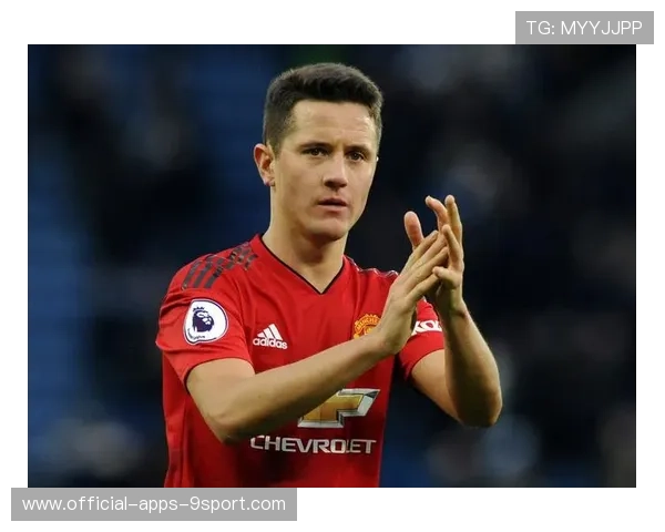 马术公开赛中兽医团队表现被广泛赞誉，动物保护获重视