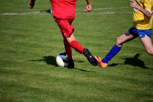 九游平台官网-中国田径队在世界舞台上表现优异，奖牌不断，中国田径队排名