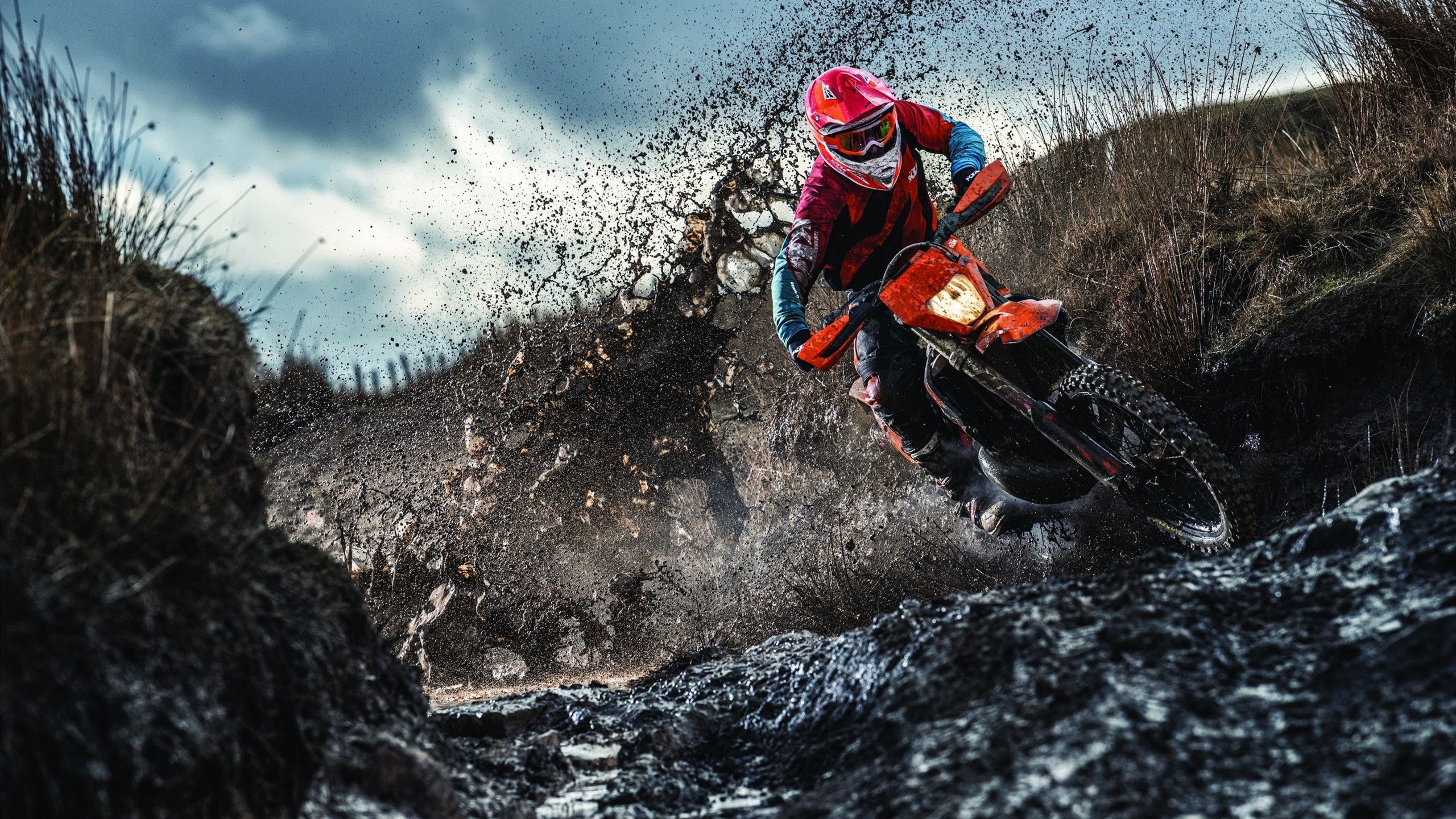 游泳世锦赛：中国队包揽多金，实力再次展现！，游泳世锦赛中国榜首