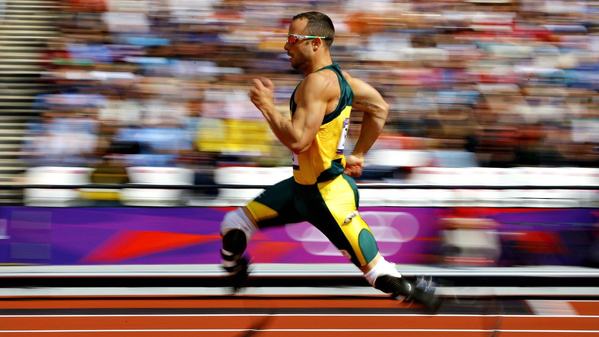 赛事现场环境治理全面提升，倡导绿色低碳出行，低碳环保绿色出行的理念得到广大群众的接受